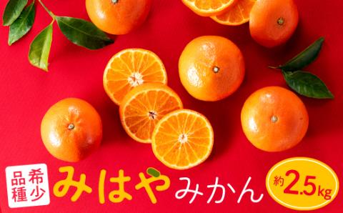 AA088.【希少品種】みはやみかん／約2.5キロ(2026年12月上旬～2027年1月末発送予定)