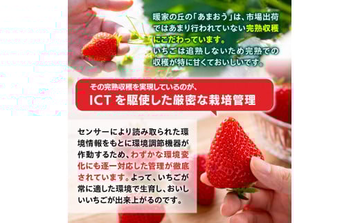 æå®¶ã®ãã¡ã å®çããŸãã 275gÃ4ããã¯ã3æäžæ¬ä»¥éé æ¬¡çºéããAB004