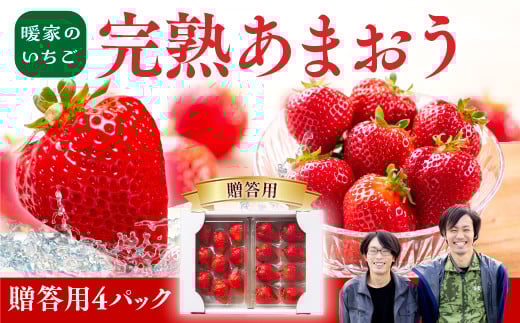 暖家のいちご　完熟あまおう　贈答用4パック【1月上旬以降順次発送】AB002