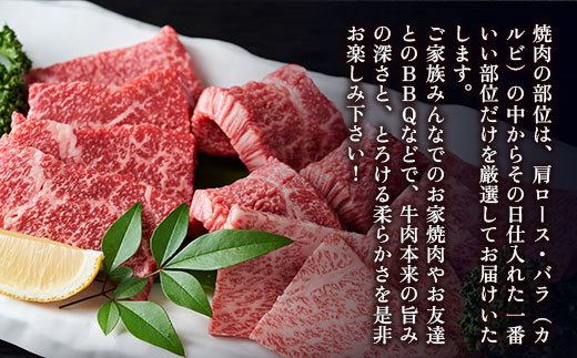 訳あり!【A4〜A5】博多和牛焼肉切り落とし(肩ロース・バラ)　500g　AO039