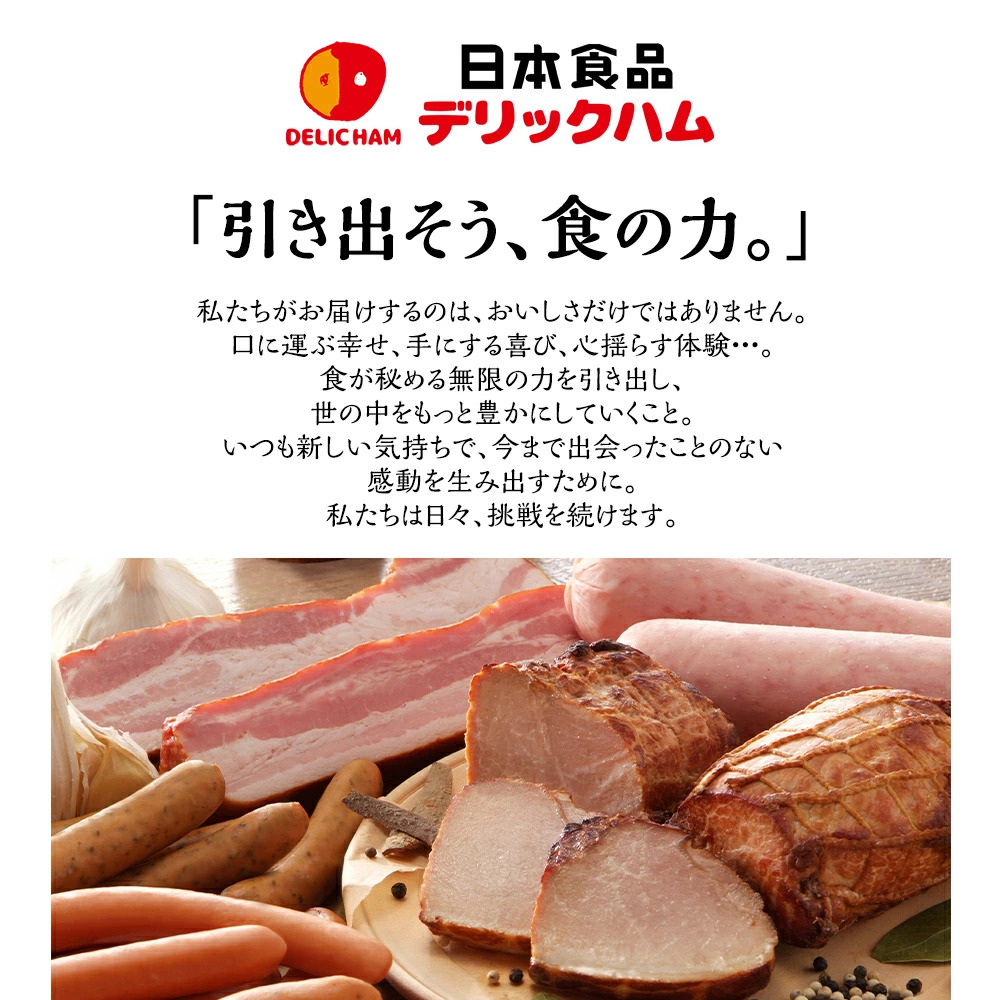 ハンバーグ 博多和牛入りデミグラスハンバーグセット 合計840g（140g×6個） CB011