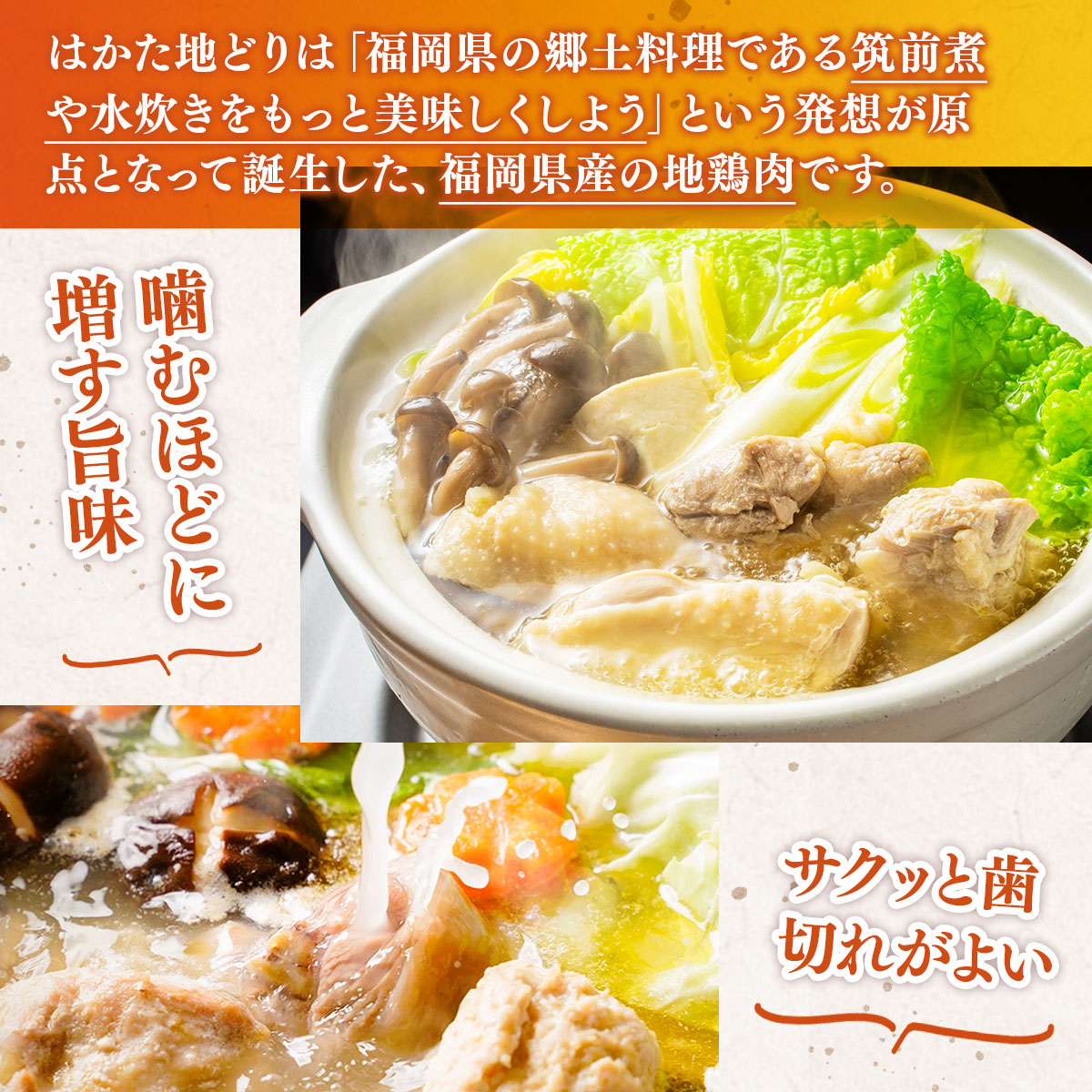 çŠå²¡éå®!ã¯ããå°ã©ãæ°Žçã6çš®çãã»ããã3ã4人åãAO044