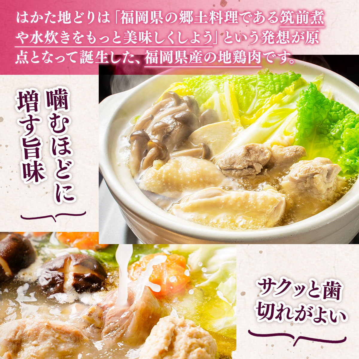 福岡限定!はかた地どり美人水炊き5種セット　2〜3人前　AO045