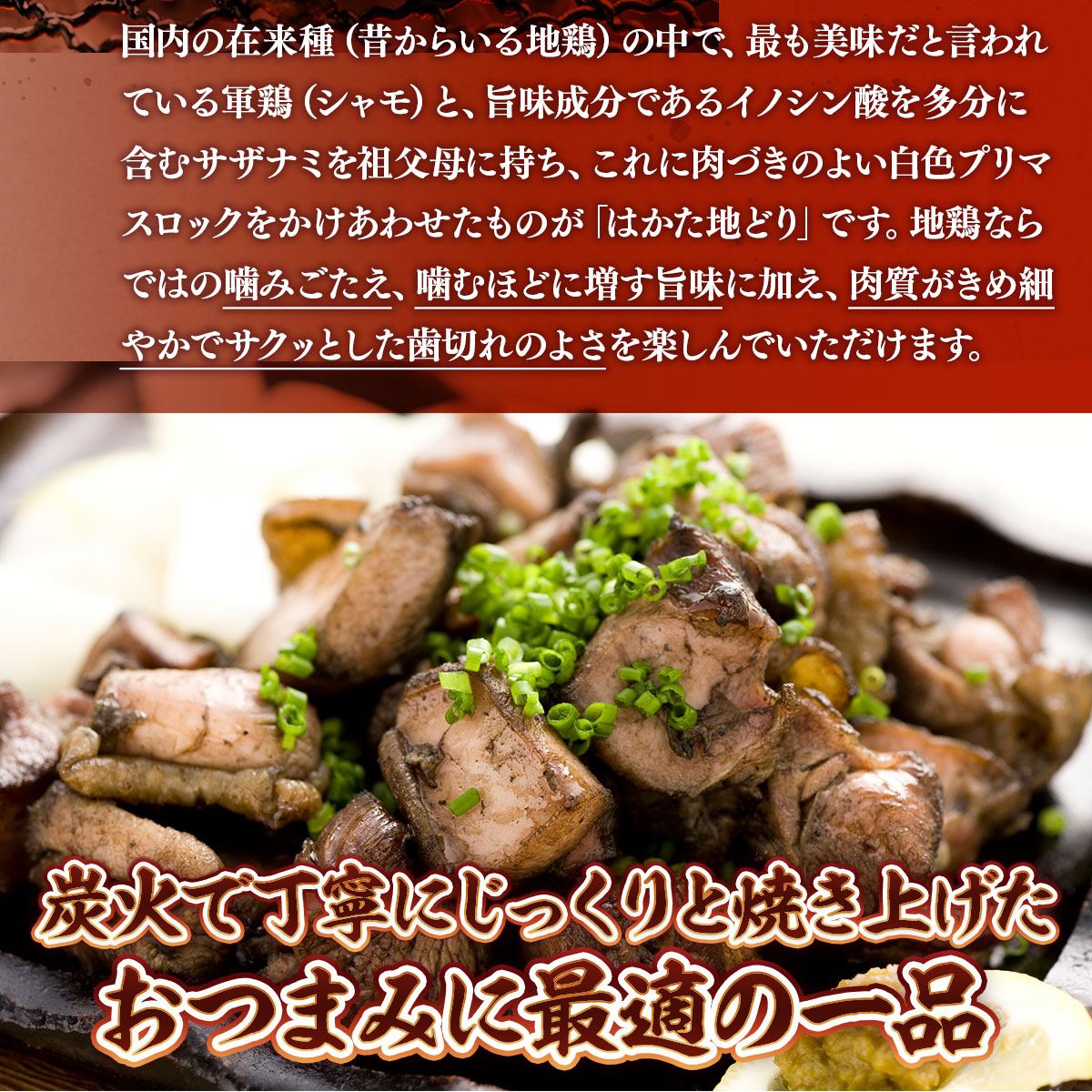 はかた地どり炭火焼セット500g(100g×5p)　AO043