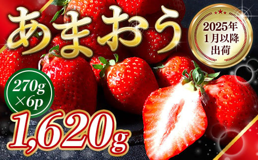 福岡県産 あまおう 1620g　先行予約 2025年1月以降より順次発送　BA007