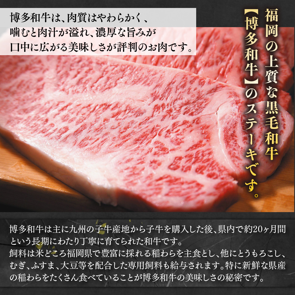 【毎月定期便】【A4〜A5】博多和牛サーロインステーキ500g (250g×2枚) 全12回　AO076