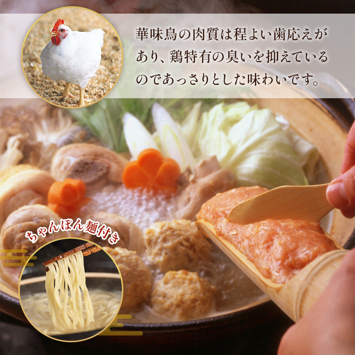 博多華味鳥　水たきセット　ちゃんぽん麺付き　AV002