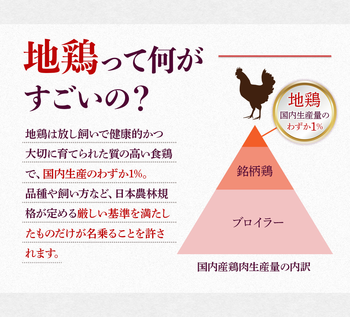 はかた地どり炭火焼セット500g(100g×5p)　AO043