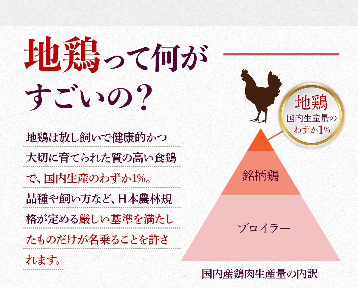 çŠå²¡éå®!ã¯ããå°ã©ãæ°Žçã6çš®çãã»ããã3ã4人åãAO044