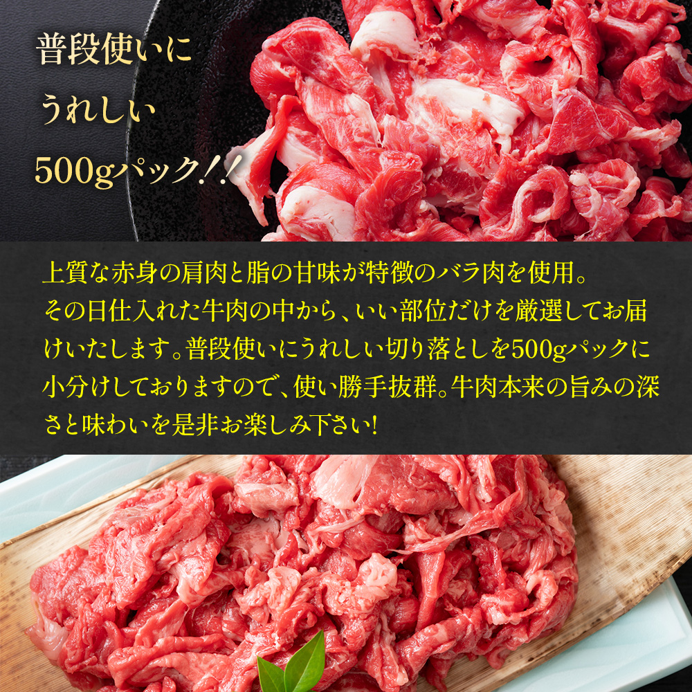 【毎月定期便】【A4〜A5】博多和牛切り落とし 500g 全12回　AO097