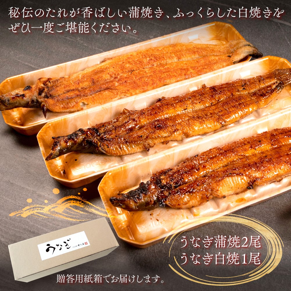 国産うなぎ蒲焼×2尾、白焼×1尾　AF004