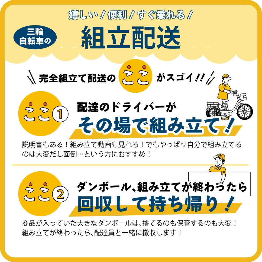電動アシスト 三輪自転車 三輪車 大人用 20インチ 組立配送 シニア 高齢者 電動自転車 3輪 安定 カゴ付き 通院 買い物 免許返納 ギフト 免許返納 プレゼント 人気 安心 安全 ミムゴ イーパートン BEPN20SB  福岡県 粕屋町 CC006