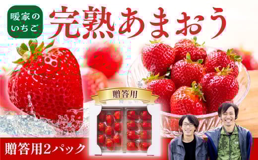 暖家のいちご　完熟あまおう　贈答用2パック【1月上旬以降順次発送】AB001