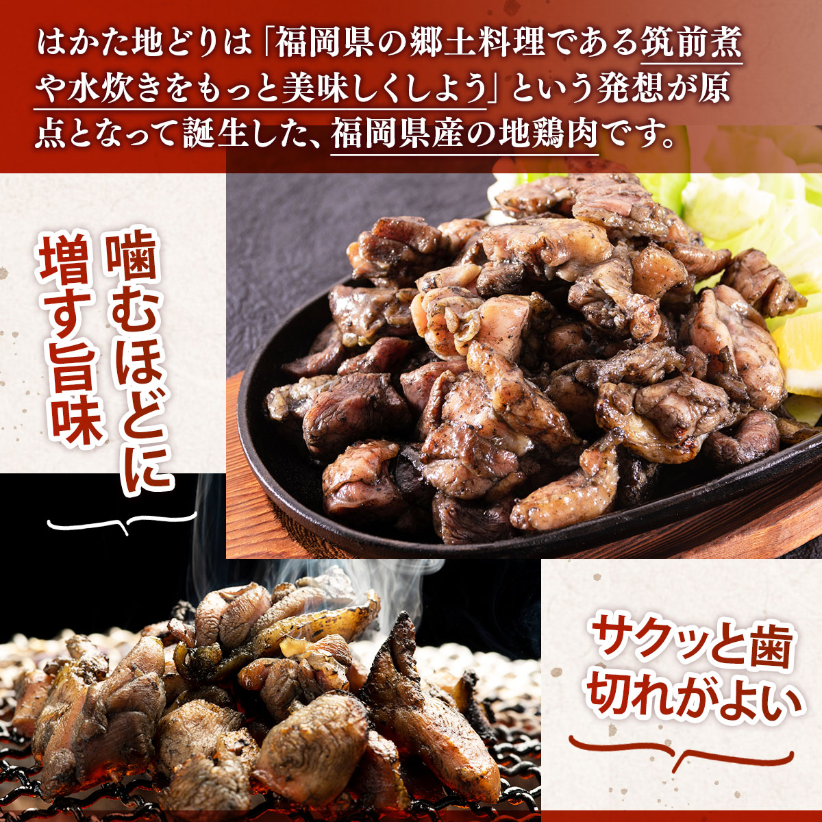 はかた地どり炭火焼セット500g(100g×5p)　AO043