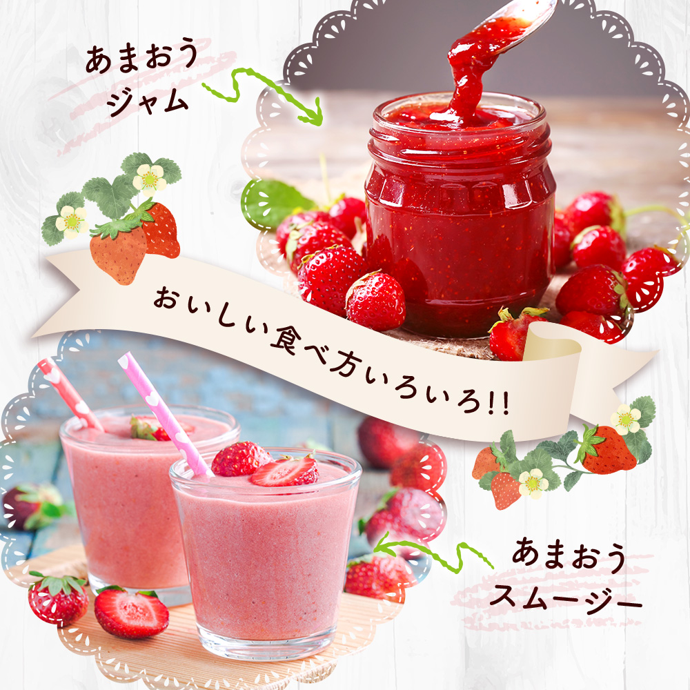 福岡県産 あまおう 1500g　先行予約 2026年1月以降より順次発送　BA007-3