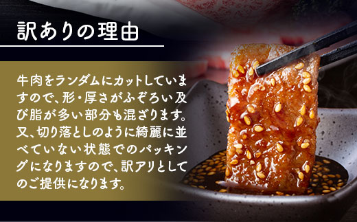 訳あり!【A4〜A5】博多和牛焼肉切り落とし(肩ロース・バラ)　1kg(500g×2p)　AO040