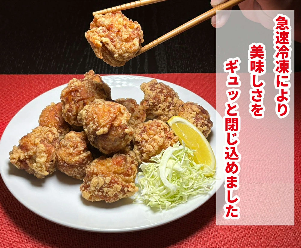 博多とよ唐亭 げんこつからあげ 1.6kg 40個 BF001-4