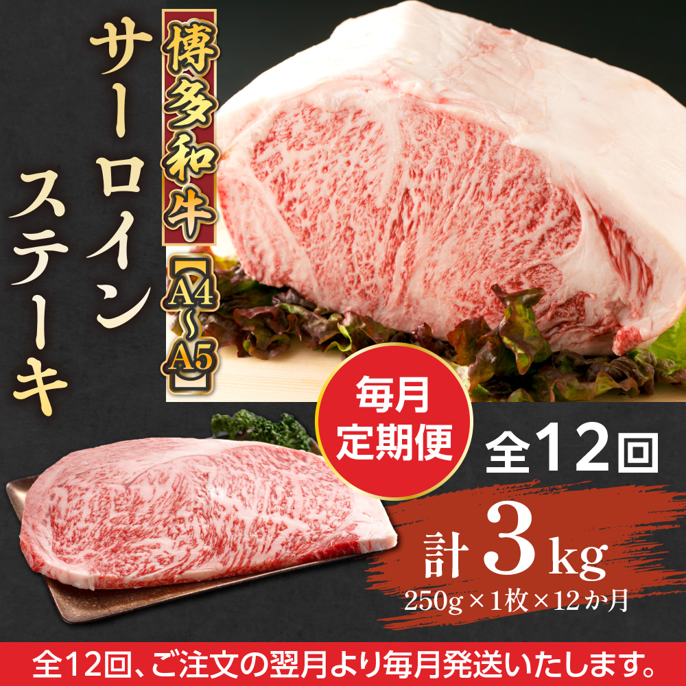 【毎月定期便】【A4〜A5】博多和牛サーロインステーキ　250g[250g×1枚]全12回　AO060