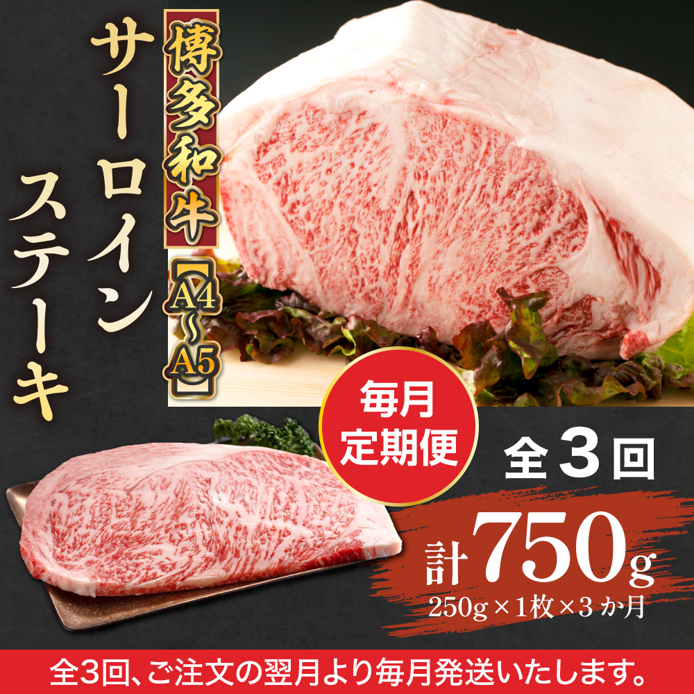【毎月定期便】【A4〜A5】博多和牛サーロインステーキ　250g[250g×1枚]全3回　AO058