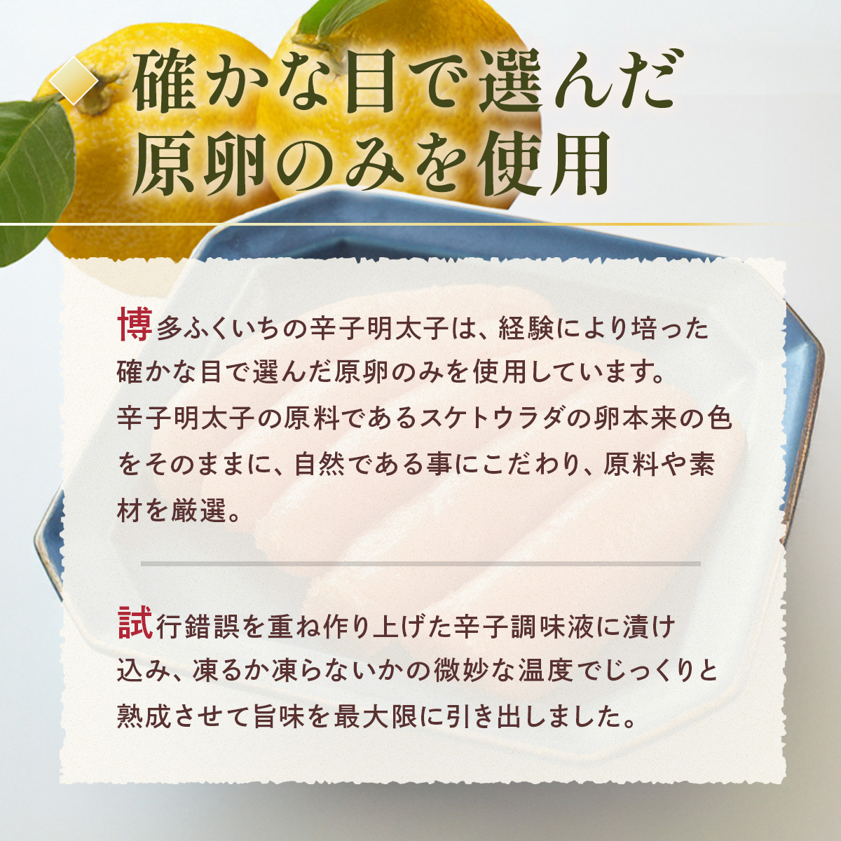 縲檎┌逹濶イ繧縺夊セ帛ュ先主、ェ蟄舌 荳ュ蛻繧 400g CD014
