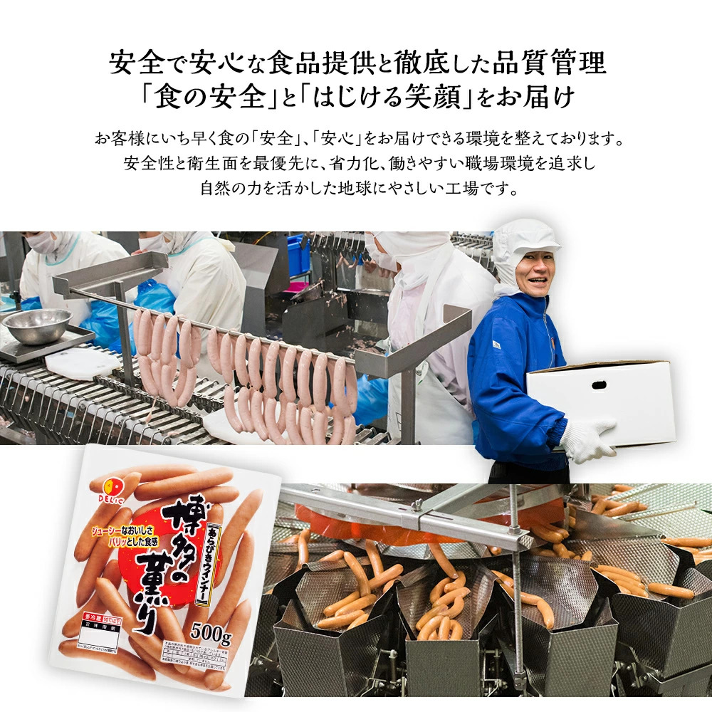 ハンバーグ 博多和牛入りデミグラスハンバーグセット 合計840g（140g×6個） CB011
