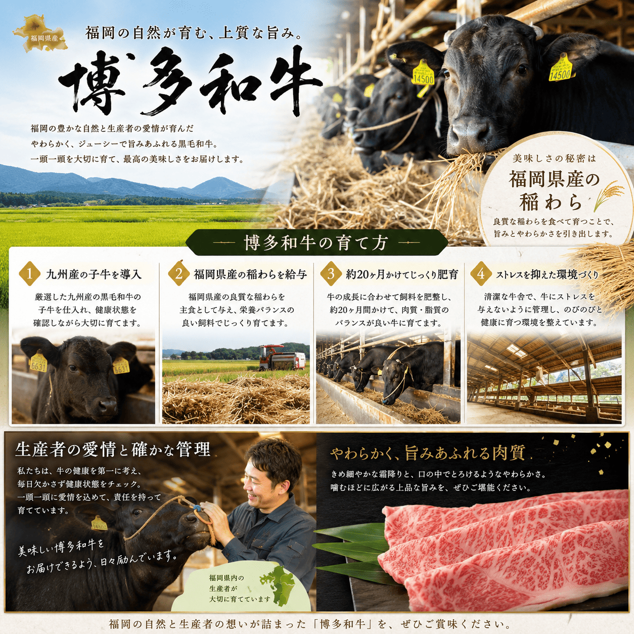 蜊壼、壼柱迚帙ワ繝ウ繝舌シ繧ー 繝繝溘げ繝ゥ繧ケ 繝ャ繝ウ繧ク 貂ゥ繧√k縺縺 140g 莠コ豌 驕ク縺ケ繧 24蛟 蛟句桁陬 蟆丞縺 CH004-2