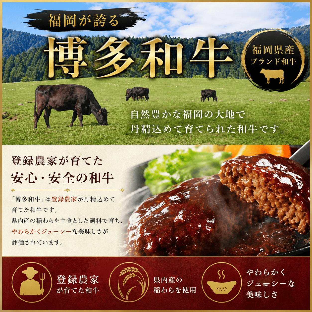 ハンバーグ 博多和牛入りデミグラスハンバーグセット 合計840g（140g×6個） CB011