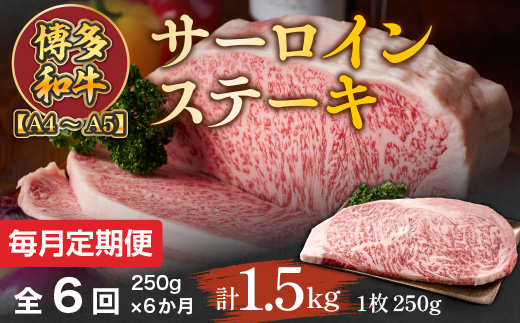 【毎月定期便】【A4〜A5】博多和牛サーロインステーキ　250g[250g×1枚]全6回　AO059