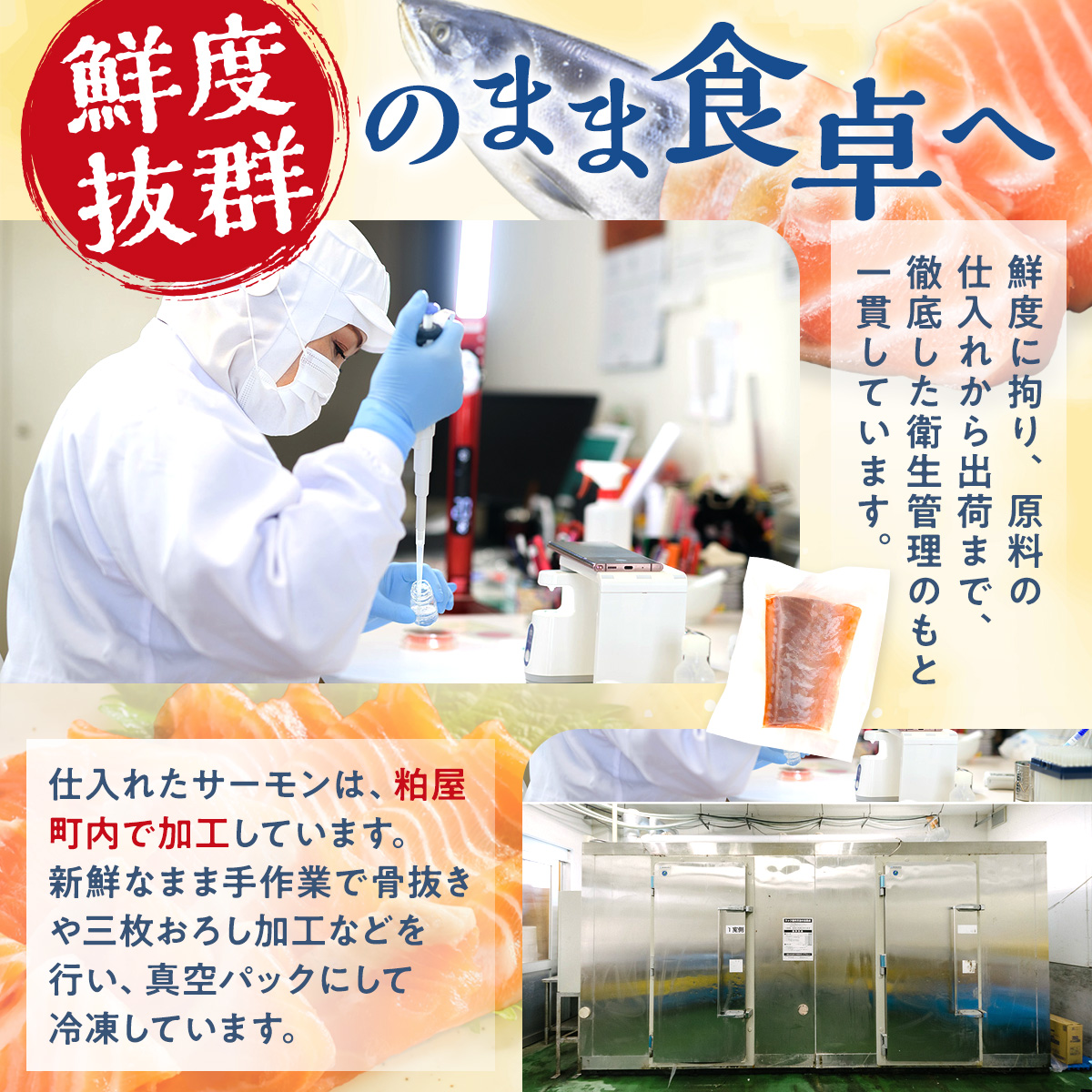 繧「繝医Λ繝ウ繝繧」繝繧ッ繧オ繝シ繝「繝ウ 1800g 蛻コ霄ォ 繧オ繝シ繝「繝ウ 繝昴シ繧キ繝ァ繝ウ 繝悶Ο繝繧ッ 譟オ AE024-3