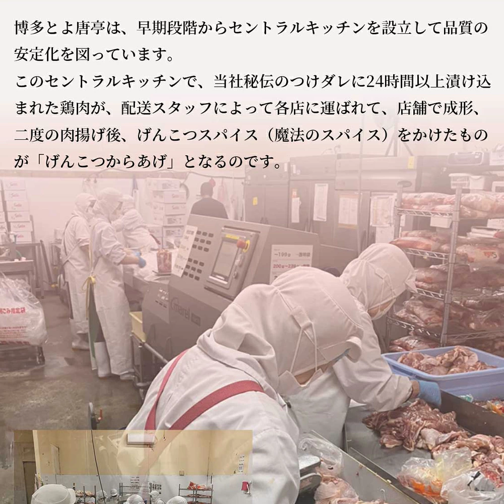 博多とよ唐亭 げんこつからあげ 1.2kg 30個 BF001-3