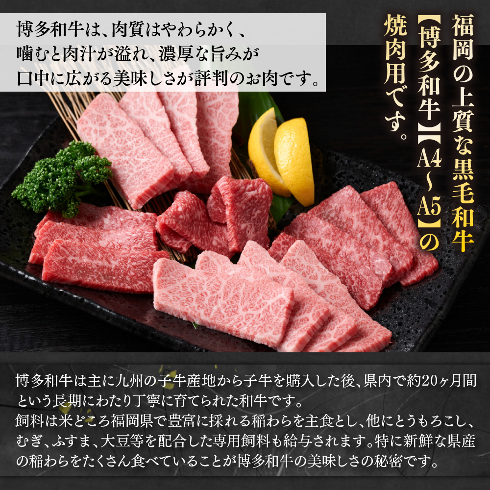 縲先ッ取怦螳壽悄萓ソ縲題ィウ縺ゅj!縲植4縲廣5縲大忽螟壼柱迚帷┥閧牙繧願誠縺ィ縺 500g 蜈ィ6蝗槭AO090