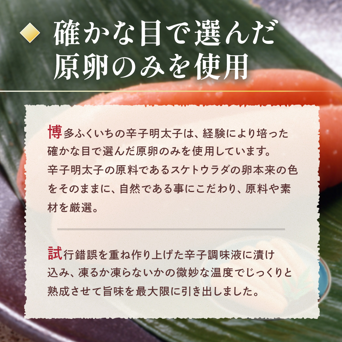 縺碑エ育ュ皮畑 縲瑚セ帛ュ先主、ェ蟄舌 300g シ亥喧邊ァ邂ア蜈・繧奇シ韻D006