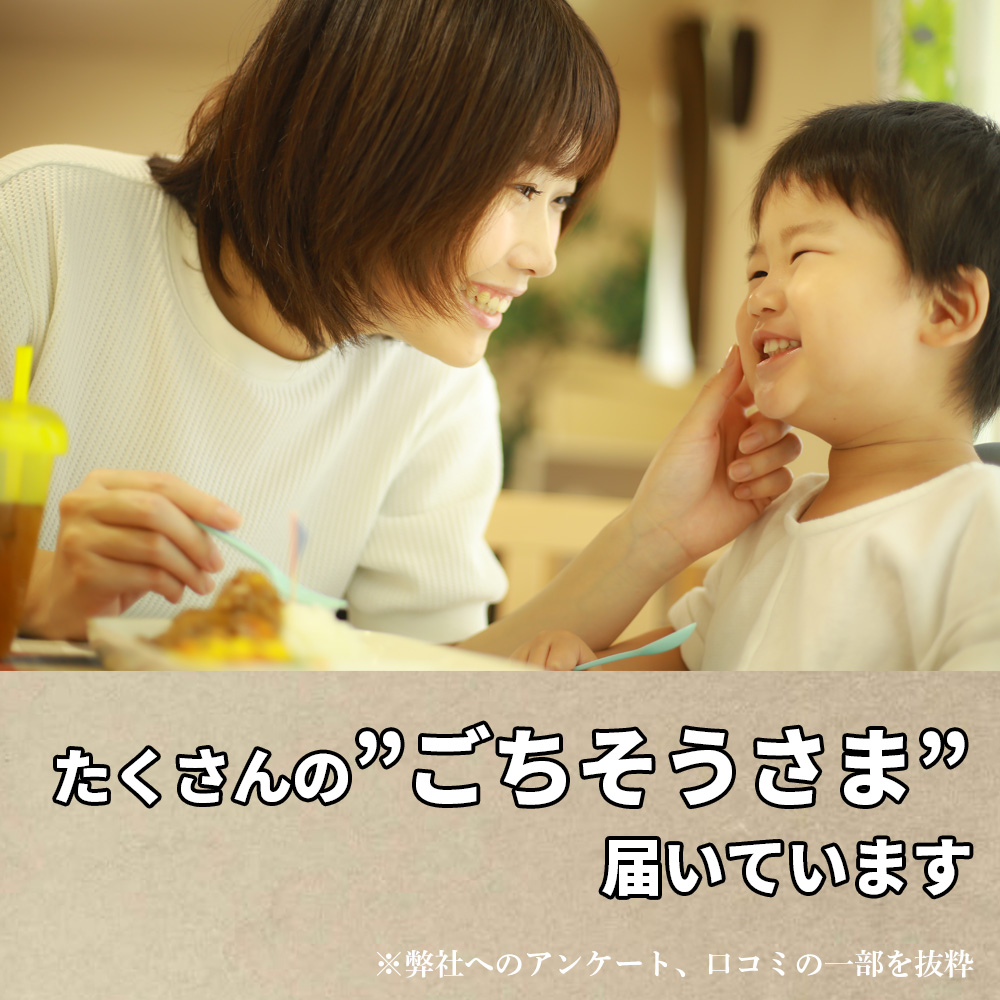 åå€ãšãåäº ãããã€ãããã 400g 10å BF001-1