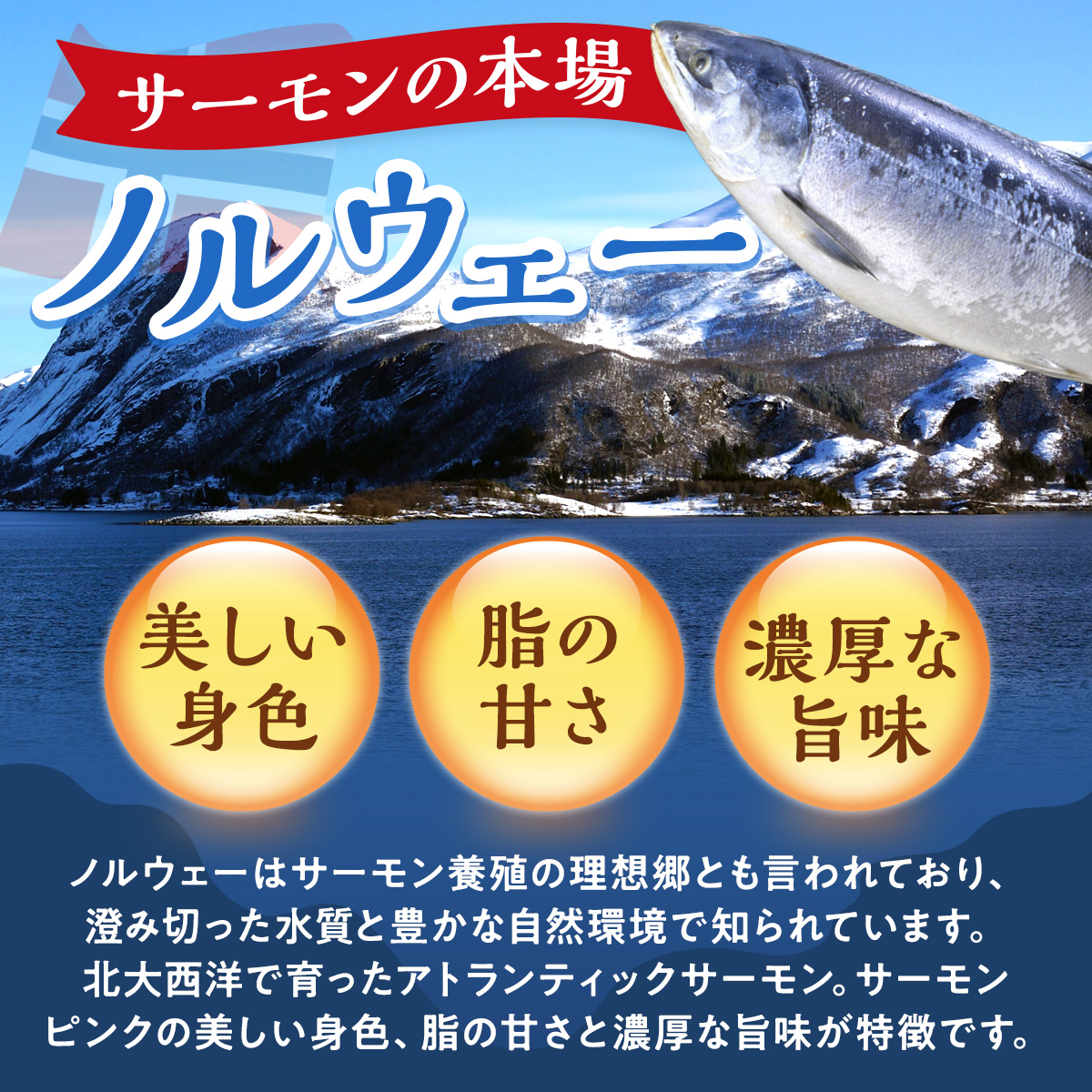繧「繝医Λ繝ウ繝繧」繝繧ッ繧オ繝シ繝「繝ウ 1800g 蛻コ霄ォ 繧オ繝シ繝「繝ウ 繝昴シ繧キ繝ァ繝ウ 繝悶Ο繝繧ッ 譟オ AE024-3
