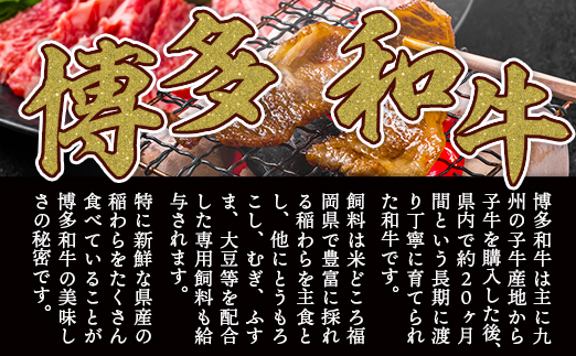 訳あり!【A4〜A5】博多和牛焼肉切り落とし(肩ロース・バラ)　1kg(500g×2p)　AO040