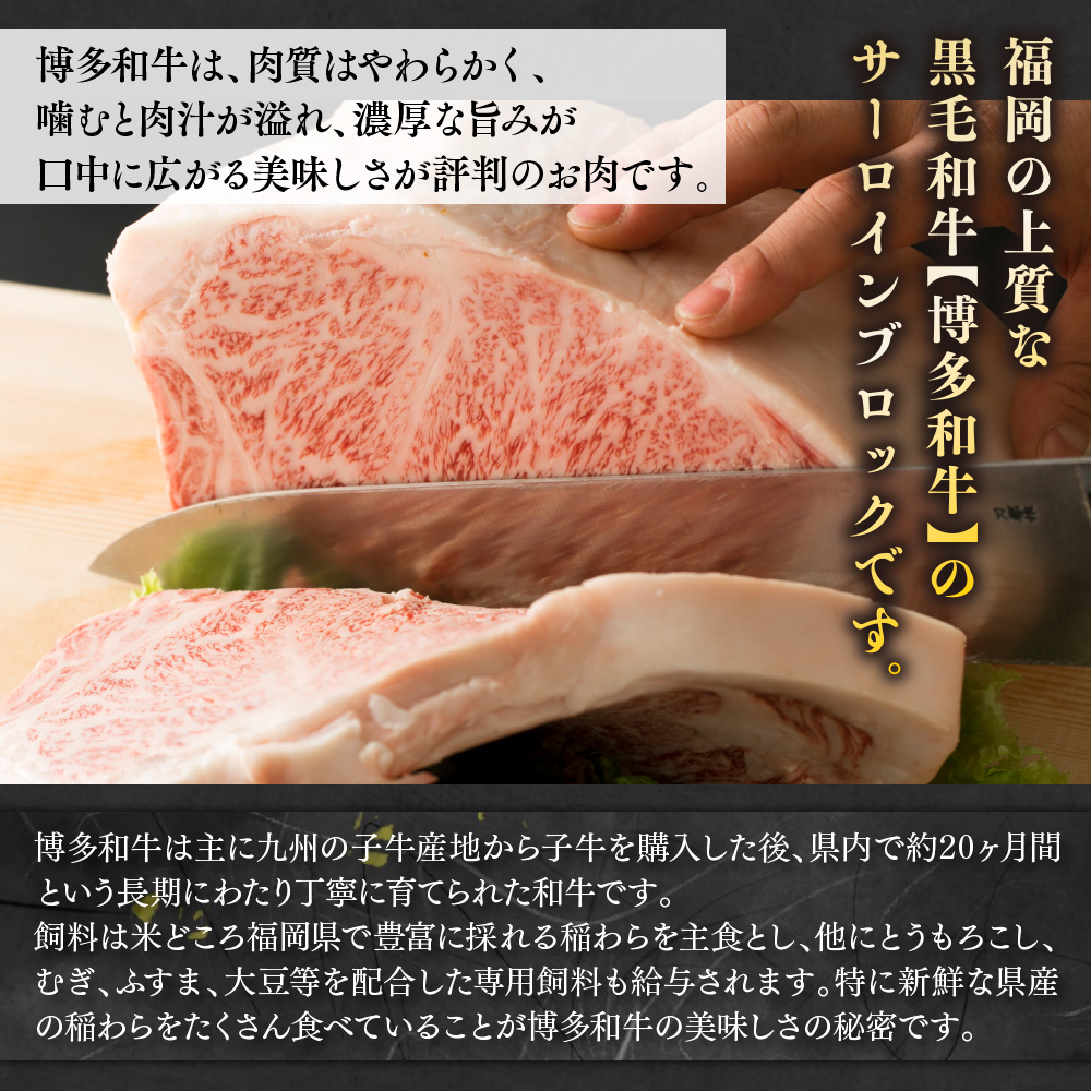 【厳選部位】【A4〜A5】博多和牛サーロインブロック　約1kg　AO134