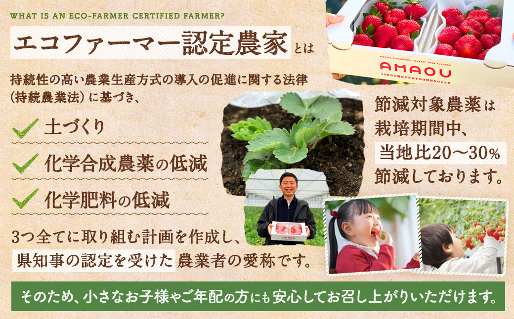 【予約受付】大容量あまおう 1,400g 大粒 不揃い 選べる大容量あまおう （2L,グランデ,DX デラックス）減農薬 あまおう いちご 高級 いちごあまおう イチゴ 苺 フルーツ 果物 ふるさと納税くだもの amaou 福岡県 【2026年2月上旬～下旬発送予定】