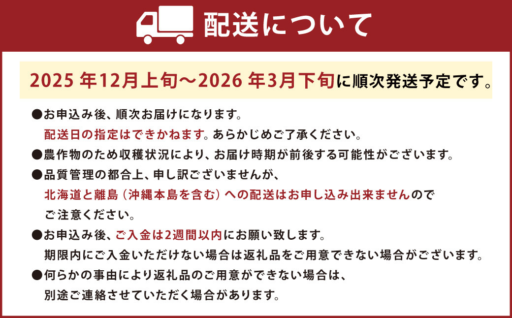 あまおう ギフト箱＆ふくや味の明太子540g	あまおう いちご 苺 イチゴ 果物 くだもの フルーツ 明太子 めんたいこ セット 【2025年12月上旬～2026年3月下旬発送予定】