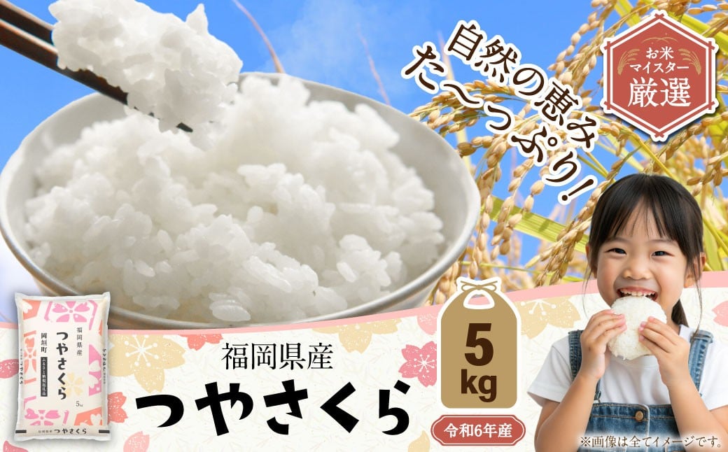 【R6年産米9月末で受付終了】【令和6年産】福岡県産つやさくら 5kg 岡垣町ふるさと納税返礼品 米 コメ こめ お米 精米