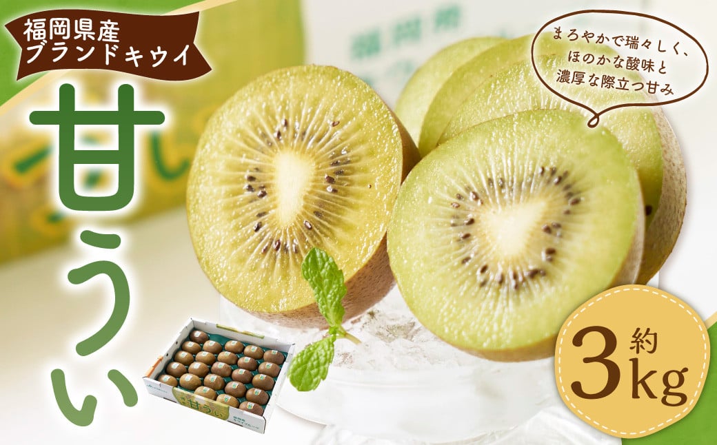 福岡県産ブランドキウイ・甘うぃ 約3kg （24-33玉） キウイ キウイフルーツ 果物 くだもの フルーツ 常温 国産 岡垣町 【2025年10月下旬～12月上旬発送予定】