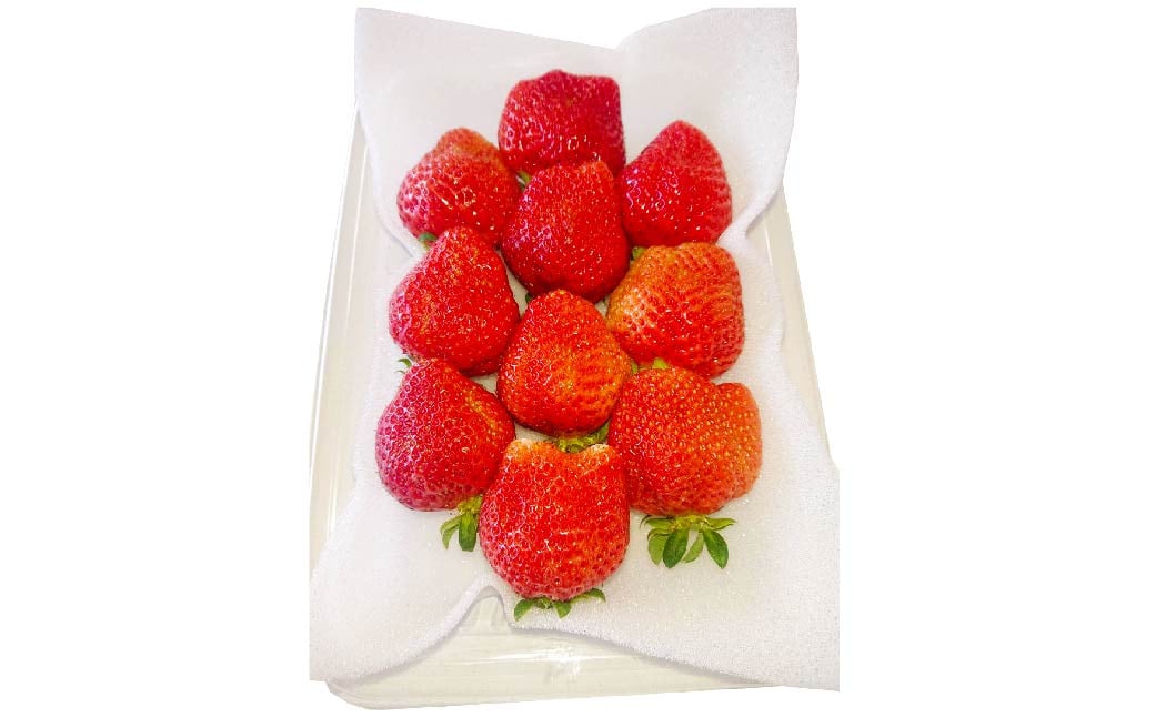 あまおうボリュームセット 6パック あまおう いちご イチゴ 苺 果物 くだもの フルーツ【2026年2月上旬～4月上旬発送予定】