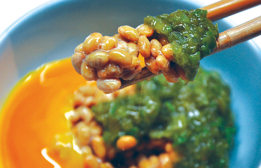 明太子 切子 450g ・ あかもく 50g×10食 ・ めかぶ 100g×5食 3種 セット 合計1.45kg 岡垣町 海藻 めんたいこ わかめ 福岡県産