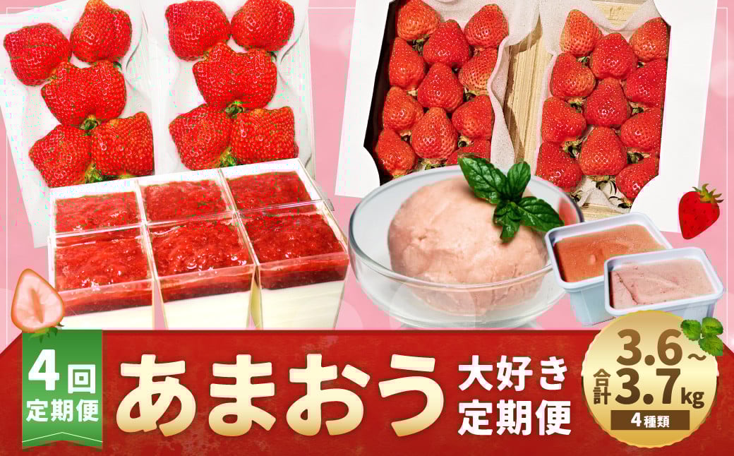 【予約受付・4回定期便】あまおう大好き定期便 あまおう いちご イチゴ 苺 くだもの 果物 フルーツ ジェラート レアチーズケーキ デザート スイーツ【2026年2月上旬～7月下旬発送予定】