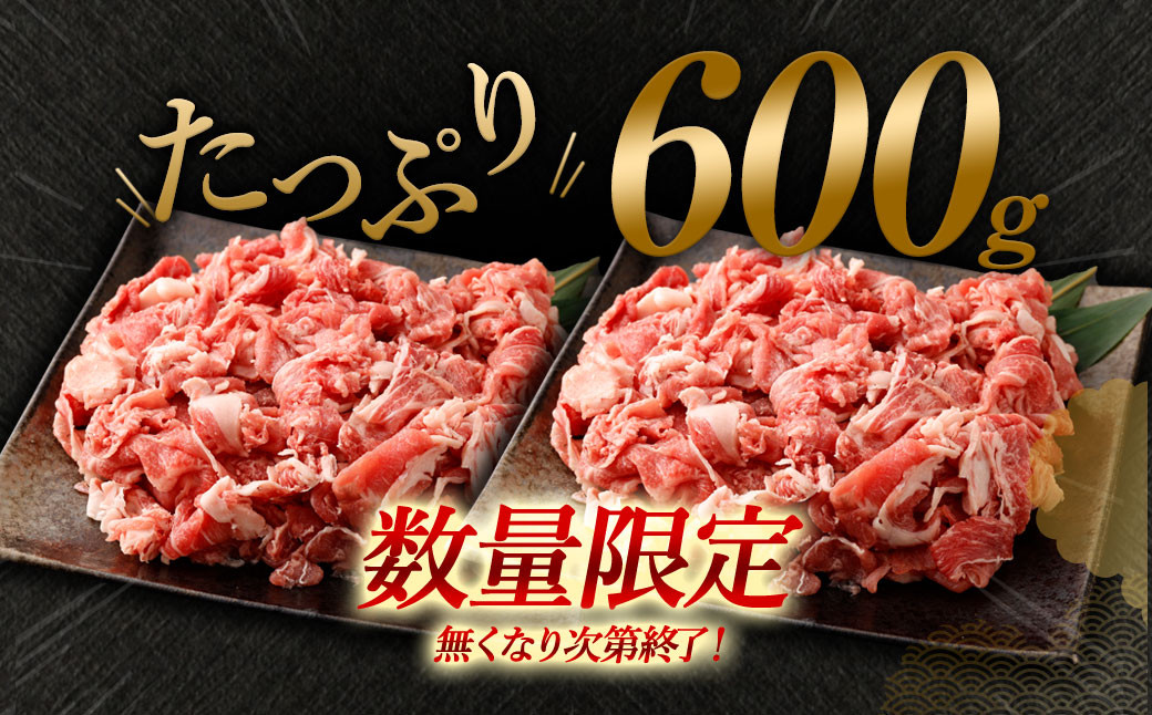 【数量限定 訳あり】【A4・A5】 博多和牛 切り落とし 約300g×2パック 合計約600g 牛肉 和牛 肉 お肉 国産 冷凍 岡垣町