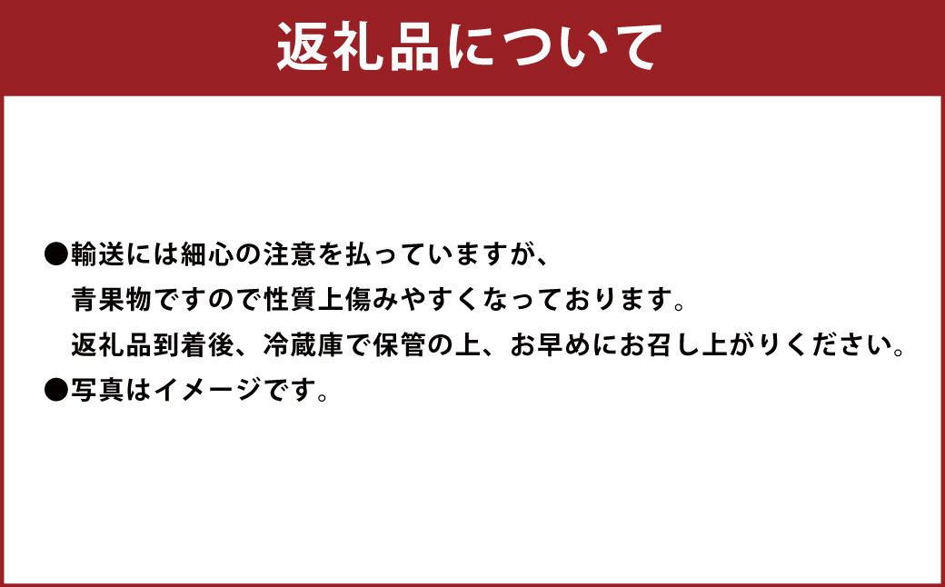 あまおう＆ふくや味の明太子290g	あまおう いちご 苺 イチゴ 果物 くだもの フルーツ 明太子 めんたいこ セット【2026年12月上旬～2027年3月下旬発送予定】