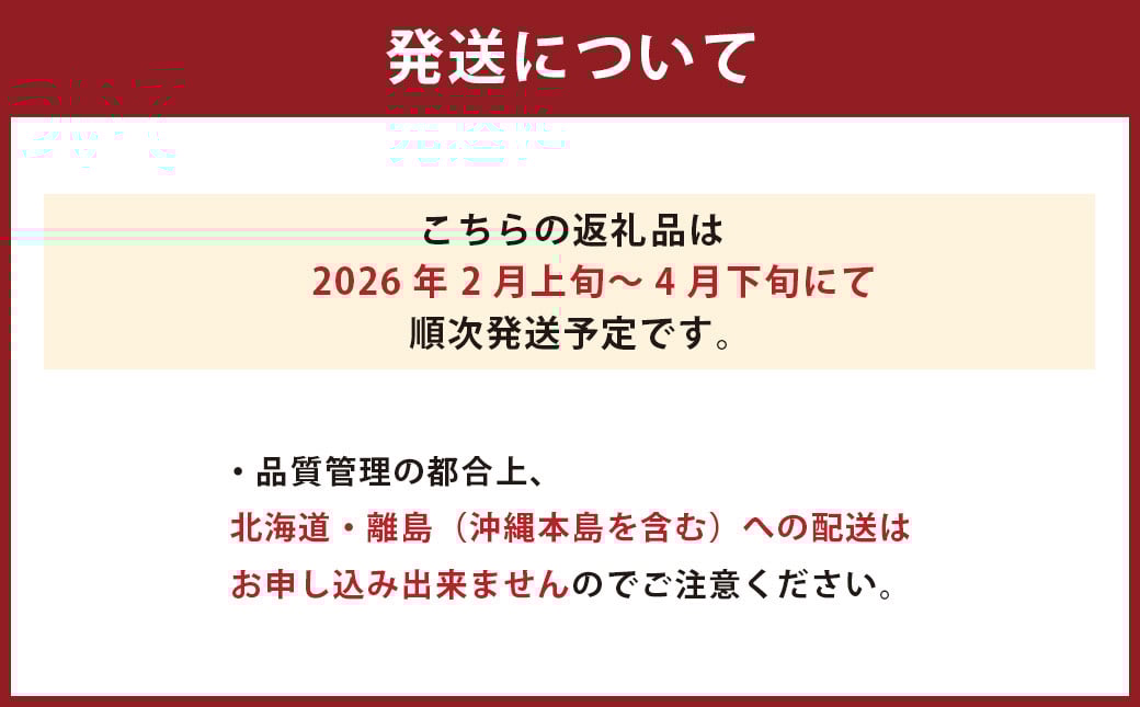 博多あまおう2パック（春） 250g～270g×2パック 合計約500g～540g あまおう いちご 苺 イチゴ フルーツ 果物 くだもの【2026年2月上旬-4月下旬発送予定】