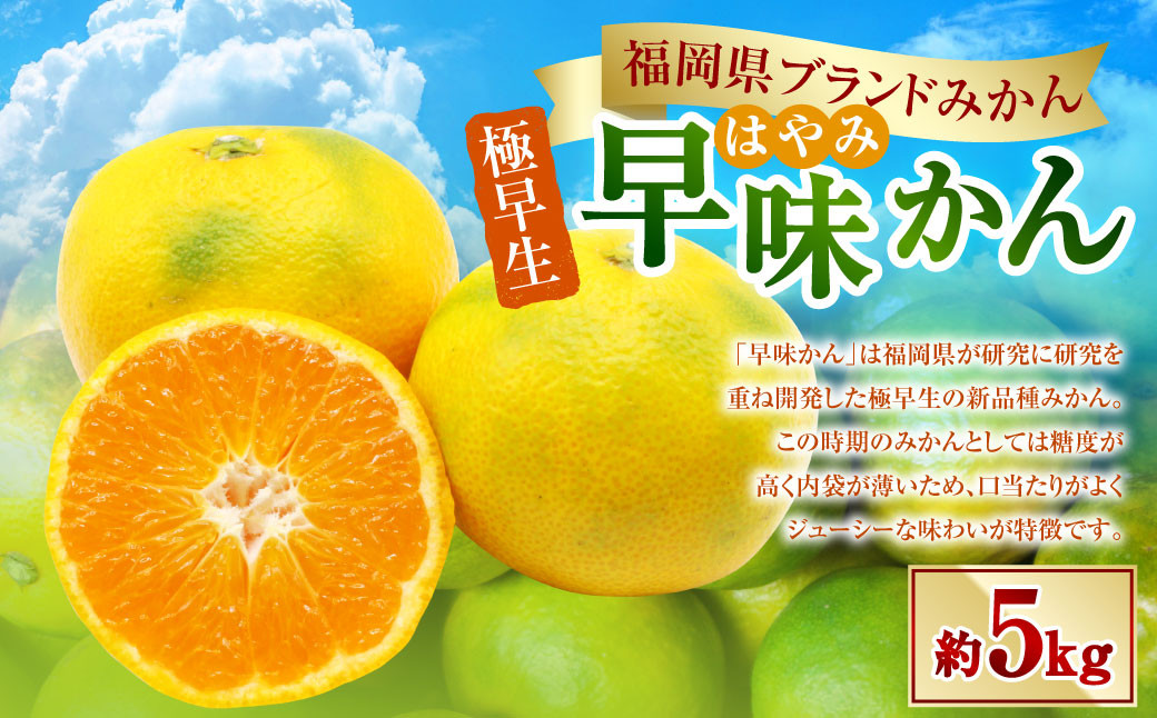 福岡県ブランドみかん「早味かん」5kg みかん オレンジ 果物 フルーツ 冷蔵 福岡県産 【2026年9月下旬-10月下旬発送予定】