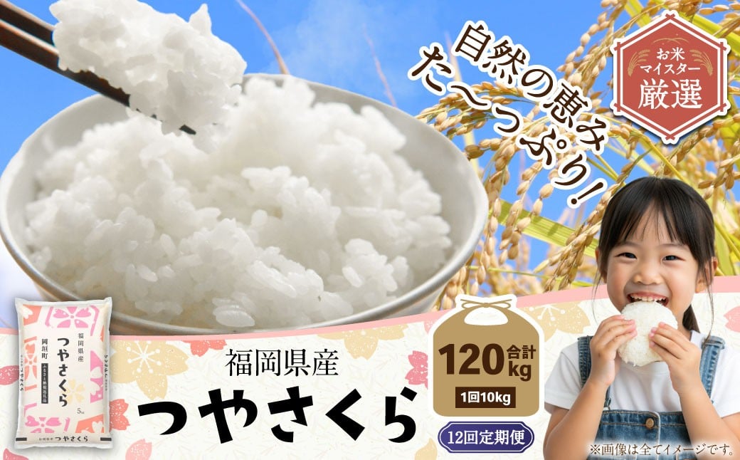 【12ヶ月定期便】福岡県産つやさくら 10kg 岡垣町 ふるさと納税返礼品 お米 こめ 精米 ご飯 ごはん 国産 定期便