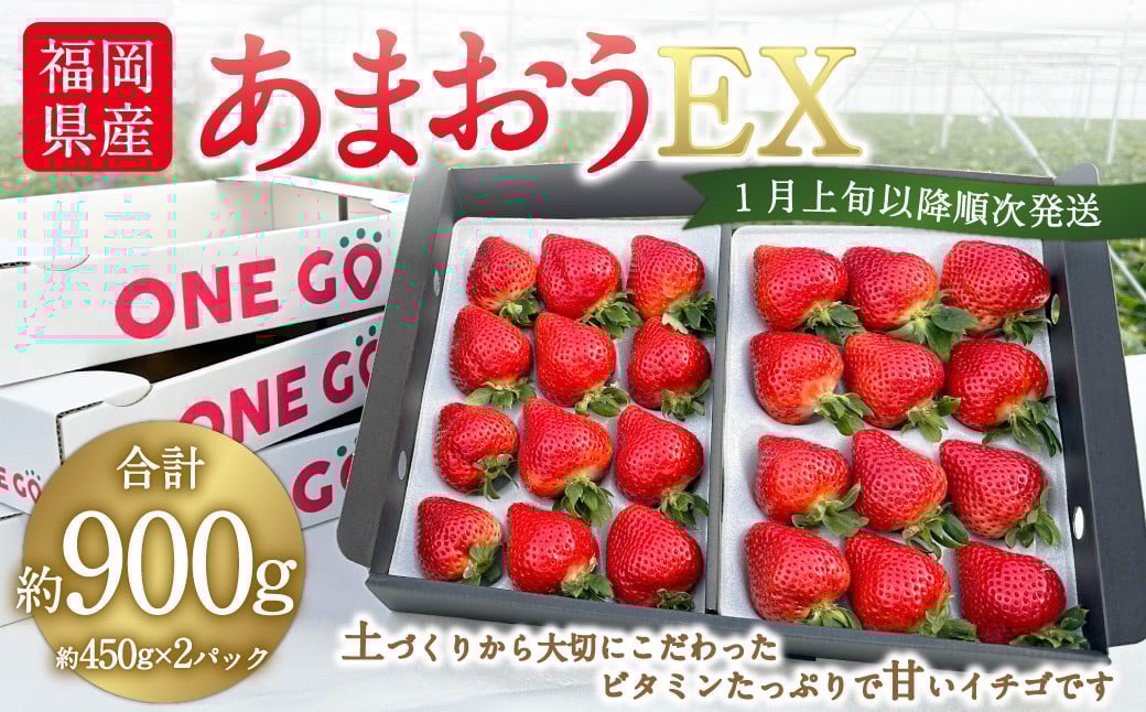 ギフト配送 福岡県産あまおう EX 約450g×2パック 〈特別栽培〉いちご イチゴ 苺 くだもの 果物 フルーツ 冷蔵 福岡県 【2026年1月上旬～3月下旬発送予定】