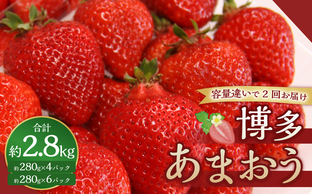 縲3蝗槫ョ壽悄萓ソ縲大忽螟壹≠縺セ縺翫≧繝ェ繝繝√↑螳壽悄萓ソ 縺縺。縺 繧、繝√ざ 闍コ 縲2026蟷エ12譛井ク頑流ス2027蟷エ2譛井ク区流逋コ騾∽コ亥ョ壹